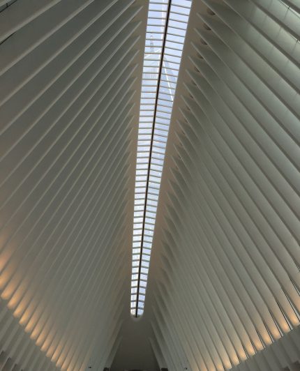 1 WTC seen through the skylights atop the Oculus.